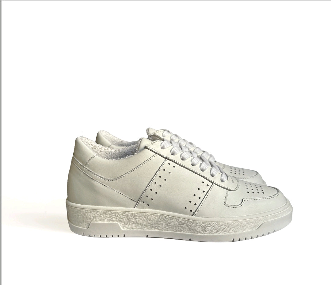 €18,00 al paio MADE IN ITALY TOUJOURS sneakers uomo/donna 63 paia - A/I P/E -RIF. TV6124